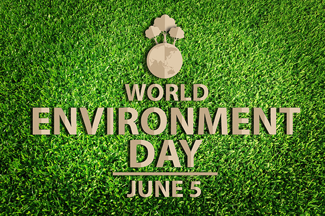 Celebrating World Environment Day